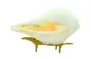 11-12-2021-04-22-3561Imy00FuuL._SL1500.webp