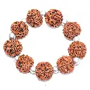 Charming 5 Mukhi Rudraksha & Parad beads Bracelet