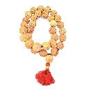 7 Faced Mahalaxmi Rudraksha Mala