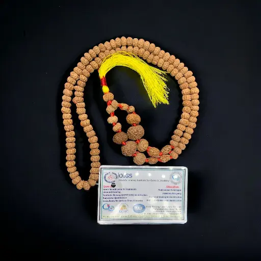 1 to 14 Mukhi Rudraksha Gauri Shankar kantha (indonesia Beads)
