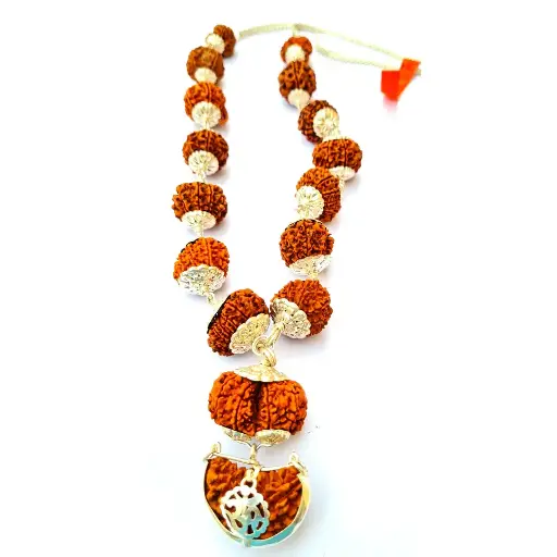 1 -14 Mukhi Rudraksha Siddha Mala with silver Cap (Nepali beads)